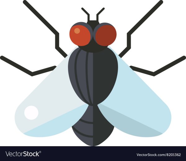 Эмблема Муха для детей