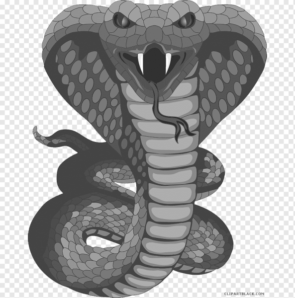 Змея Кобра Королевская тату