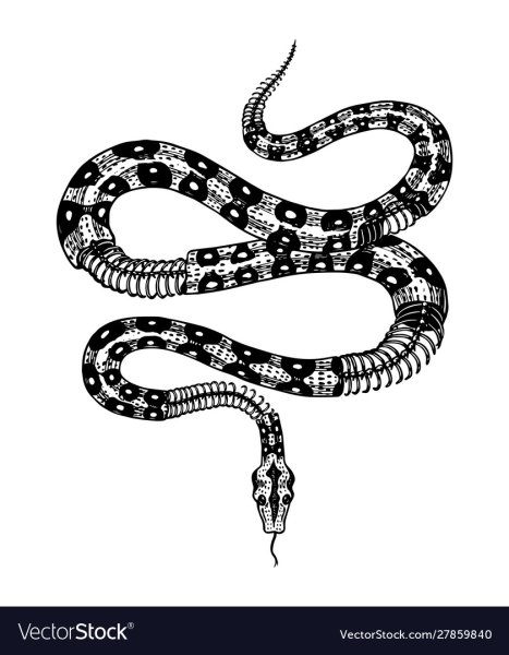 Рисунок молочной змеи