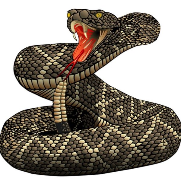 Кобра гадюка Анаконда