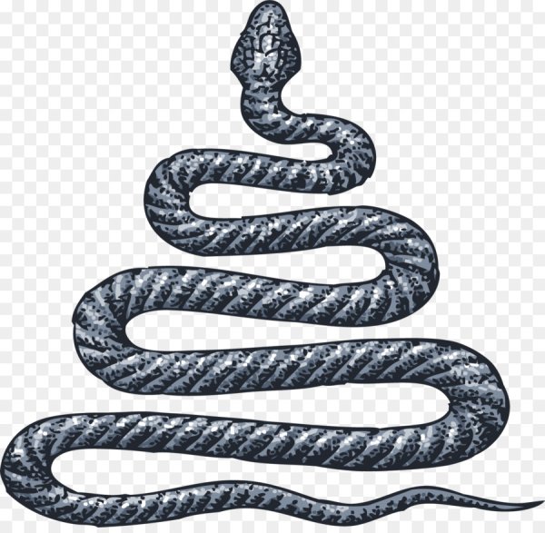 Змея рисовать