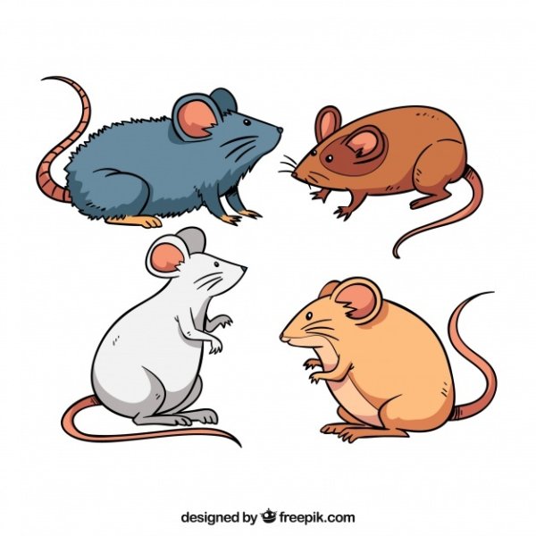 Векторная Графика крыса