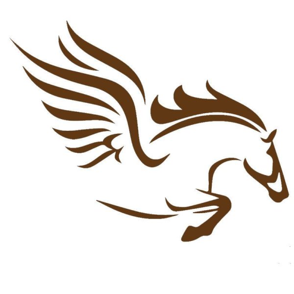 Пегас вектор