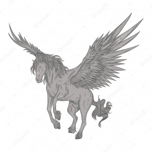 Пегас вектор