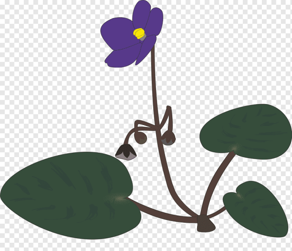 Фиалки мультяшные