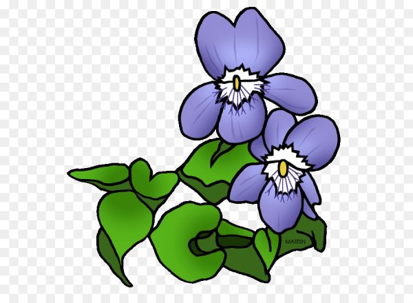 Фиалка мультяшная вектор