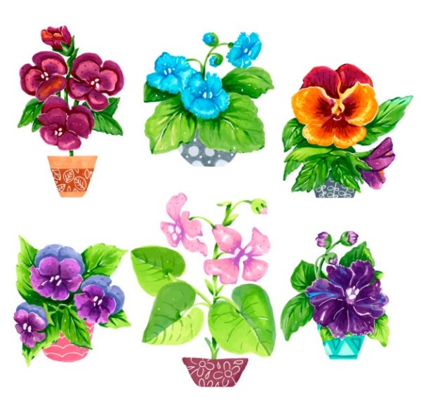 Фиалка вектор