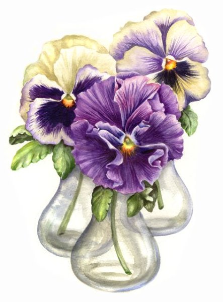 Фиалки стилизованные