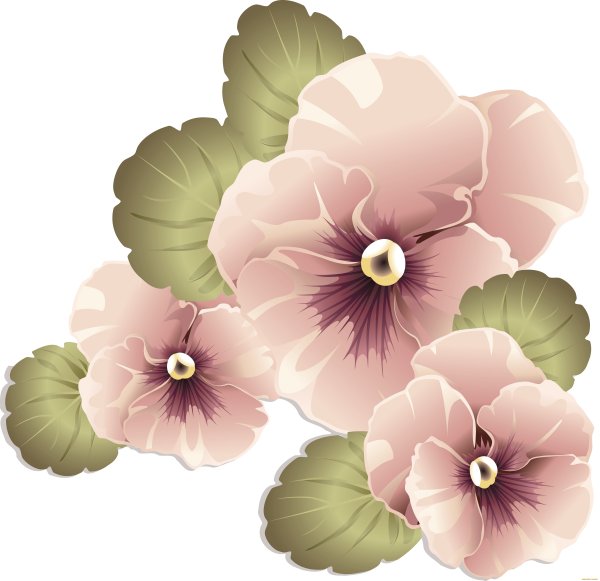 Коричневые прозрачные цветы