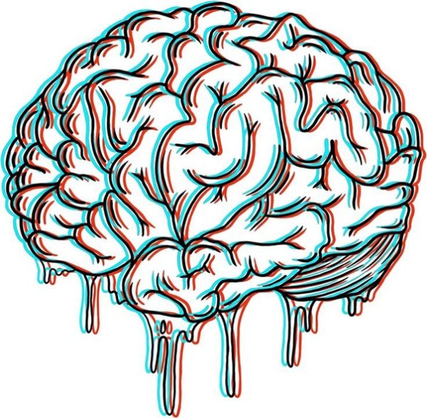 Мозг рисунок