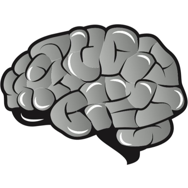 Мозг векторное изображение