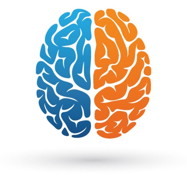 Мозг Векторная Графика