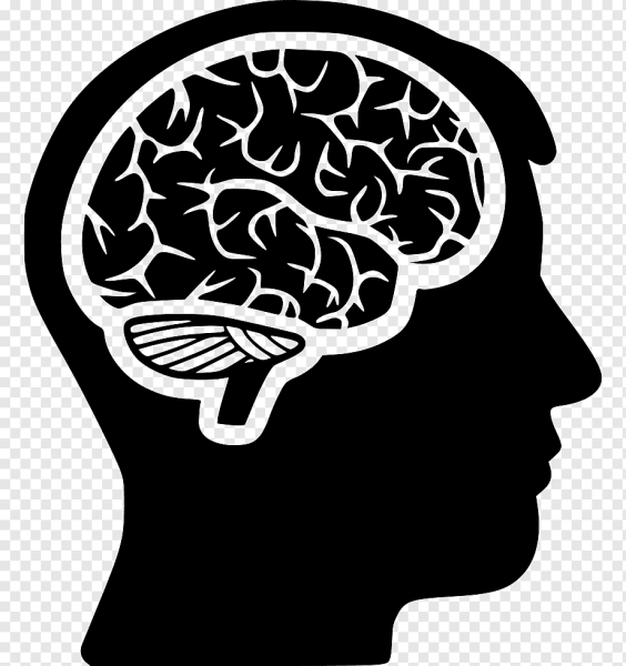 Векторный мозг