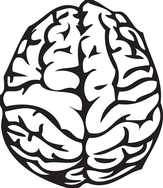 Мозг трафарет