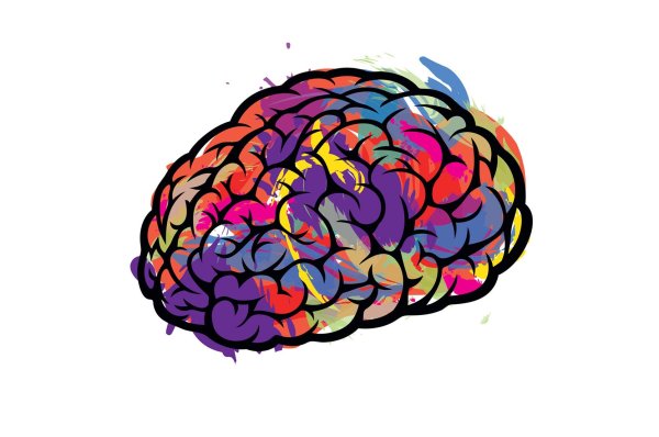 Мозг нарисованный