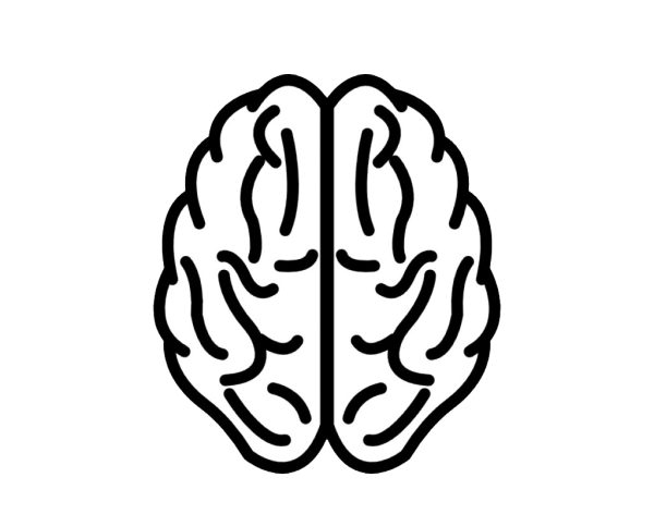 Мозг контур