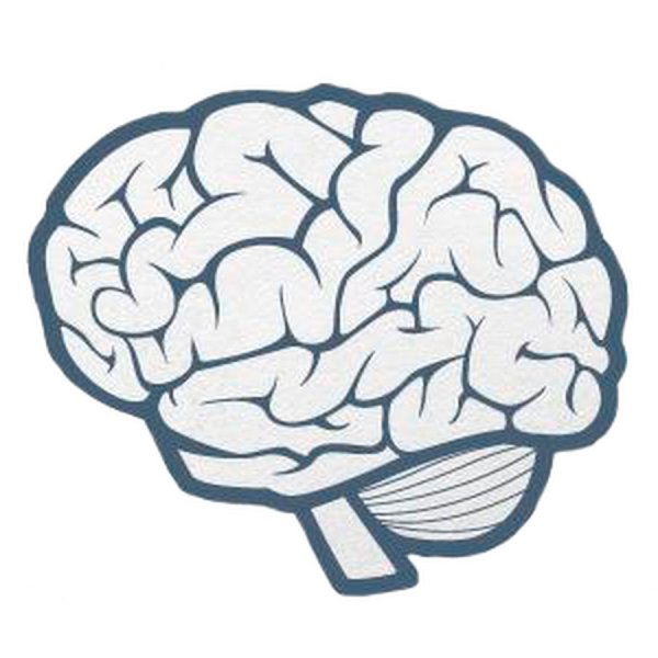 Стилизованный мозг