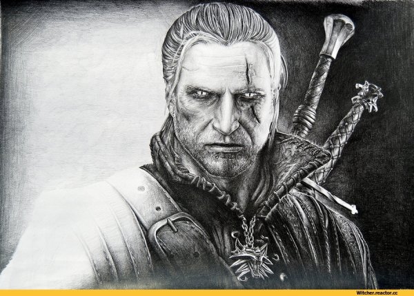 Ривии Ведьмак иллюстрации