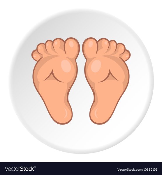 Очертание стопы