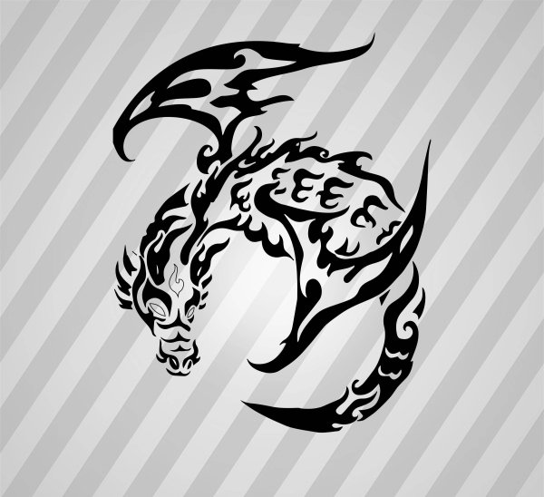 Дракон трайбл чëрно беллый