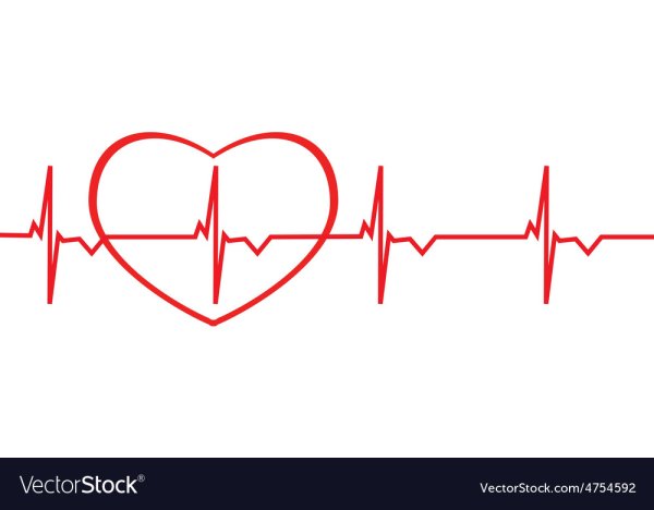 Сердце с линией кардиограммы