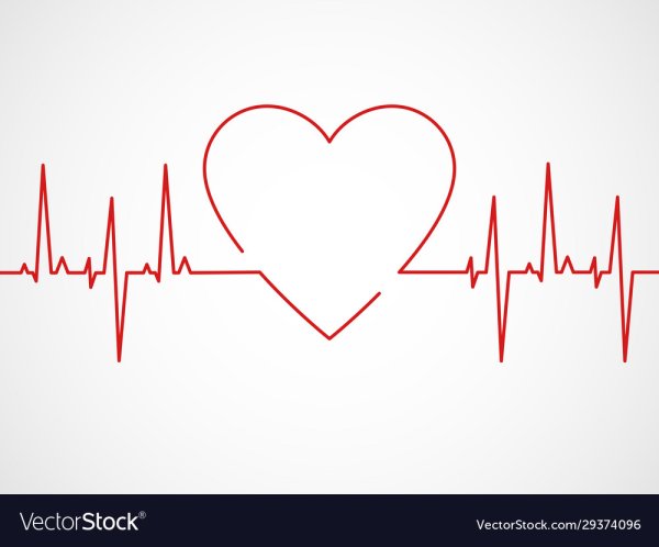 Сердце с линией кардиограммы