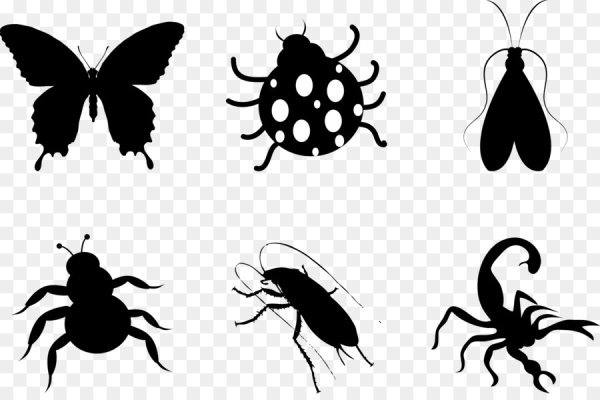 Векторные насекомые