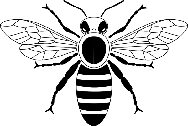 Пчела черно белая