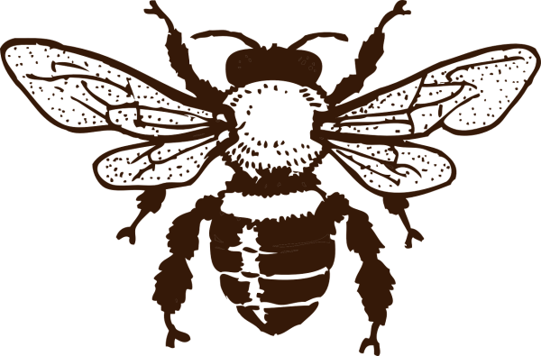 Пчела черно белая