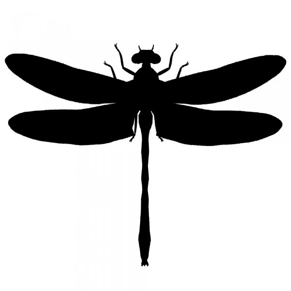 Силуэты насекомых для детей