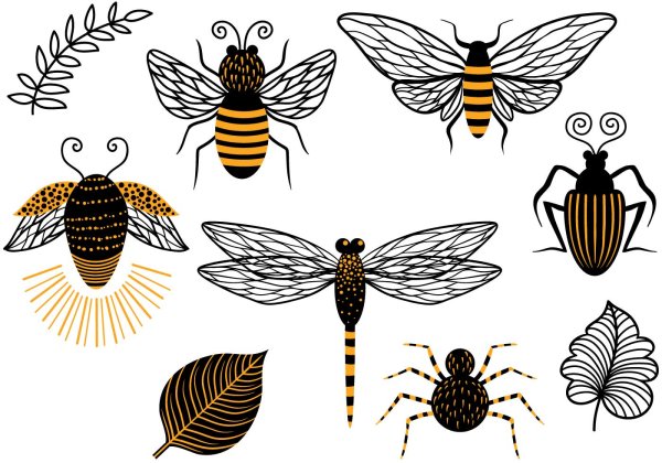 Насекомые вектор