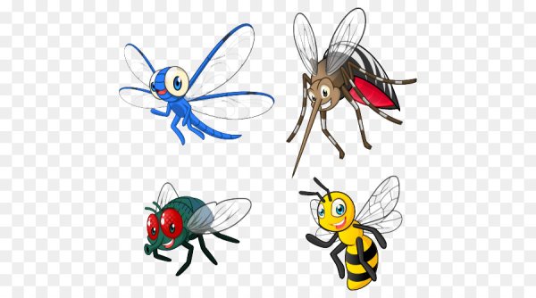 Комары мухи пчелы