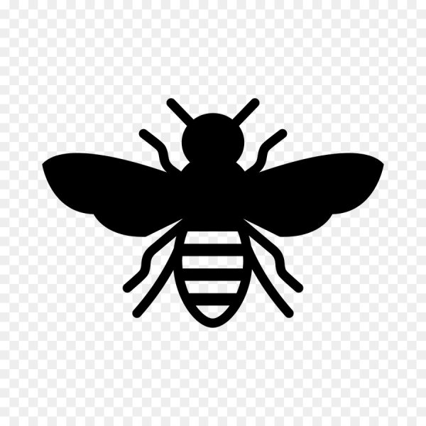 Силуэты насекомых