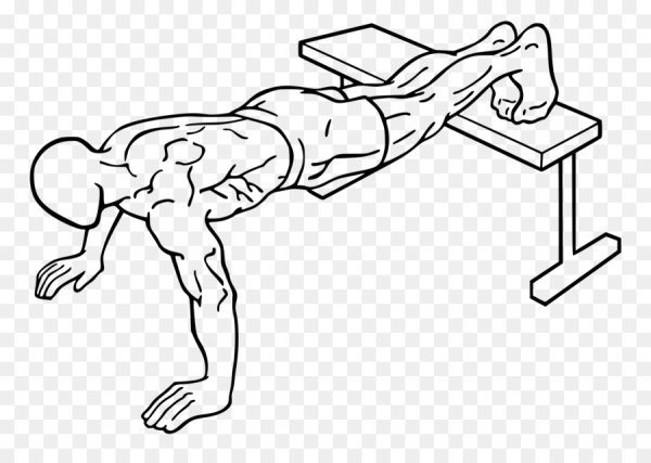 Физические упражнения отжимания