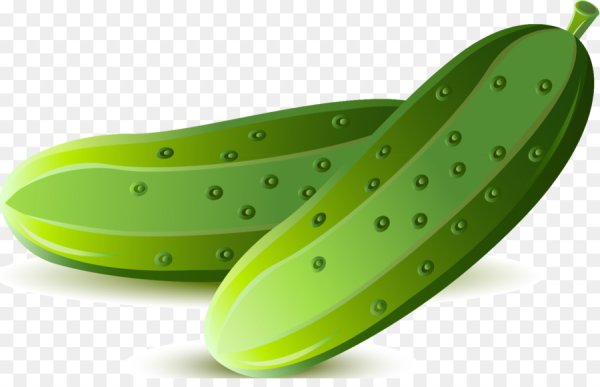 Огурец вектор для детей