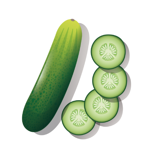 Огурец вектор