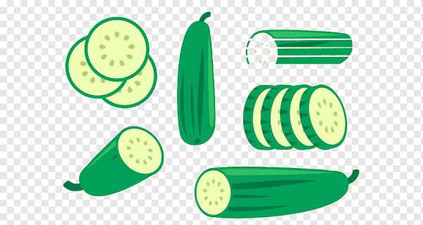 Огурец нарезанный вектор