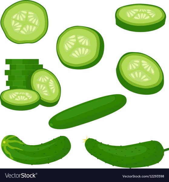 Огурец вектор