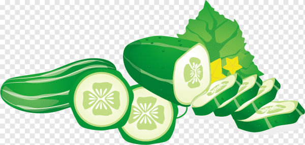 Огурец вектор