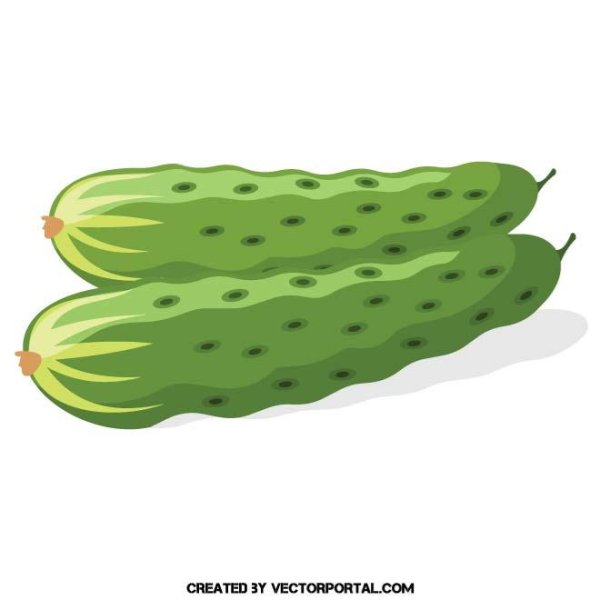 Два огурца на белом фоне