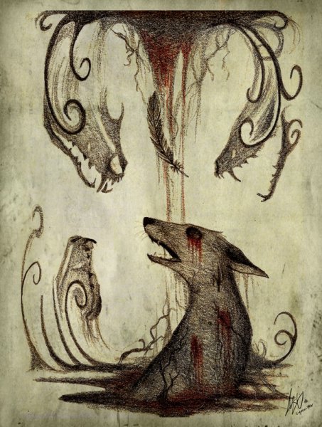 Culpeo Fox страшные лисы