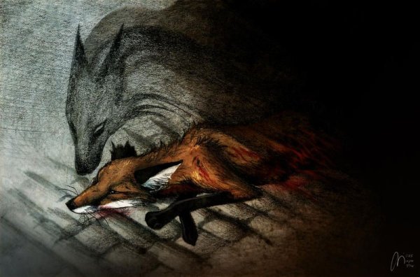 Culpeo-Fox ворона