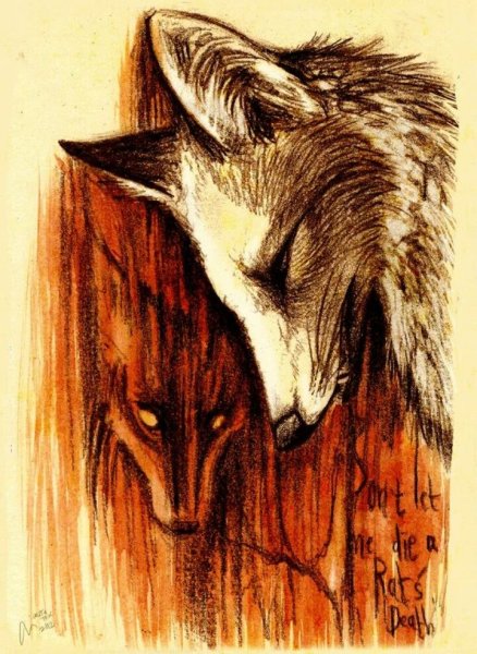 Кульпео Фокс арт