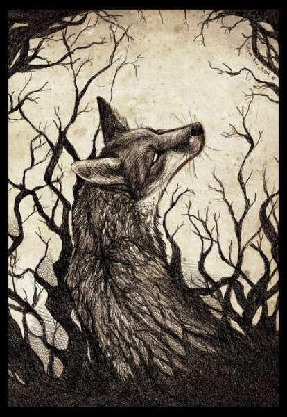 Мрачная лиса