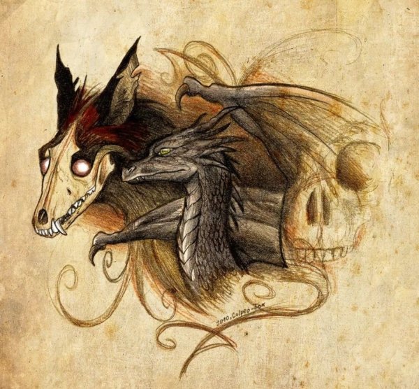 Кульпео Фокс драконы