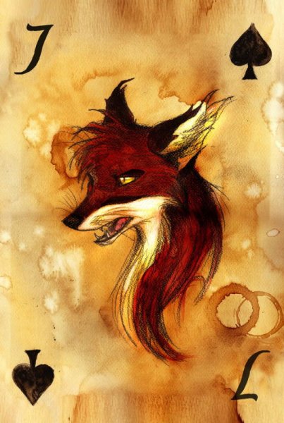 Карты с лисами Culpeo-Fox