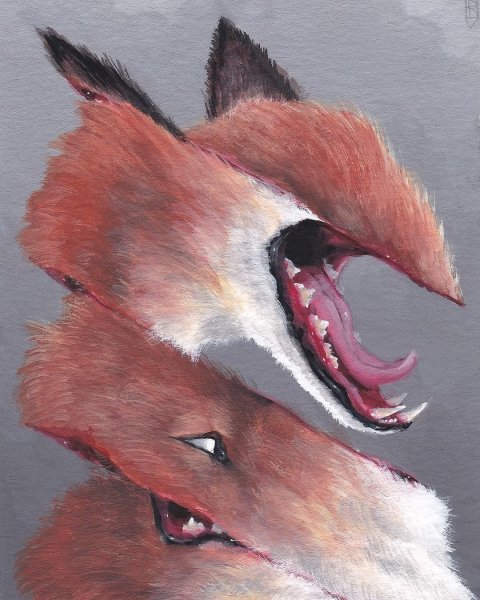 Карты с лисами Culpeo-Fox