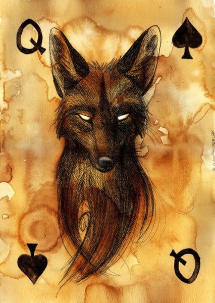 Лиса кульпео Фокс