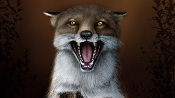 Жуткие животные рисунок лисы