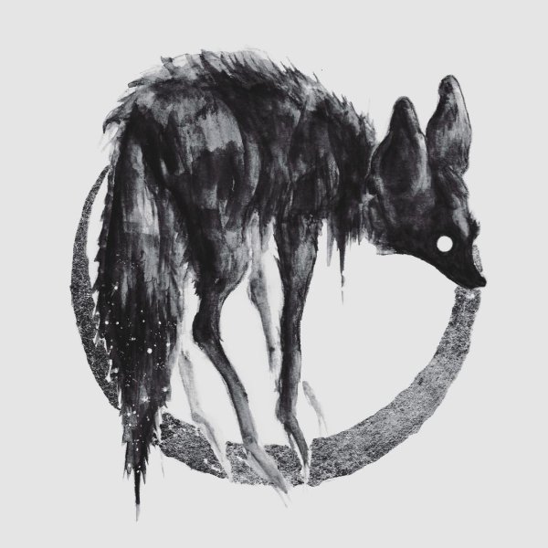 Culpeo Fox лисы 2018